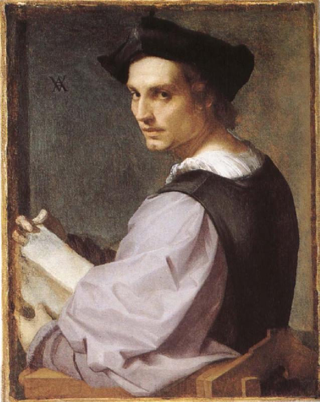Andrea del Sarto Portratt of young man France oil painting art